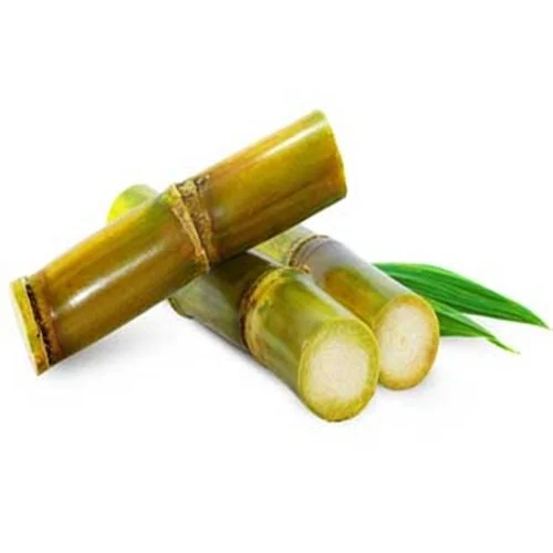 Sugarcane – Co-265