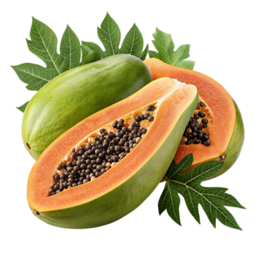 Papaya 15